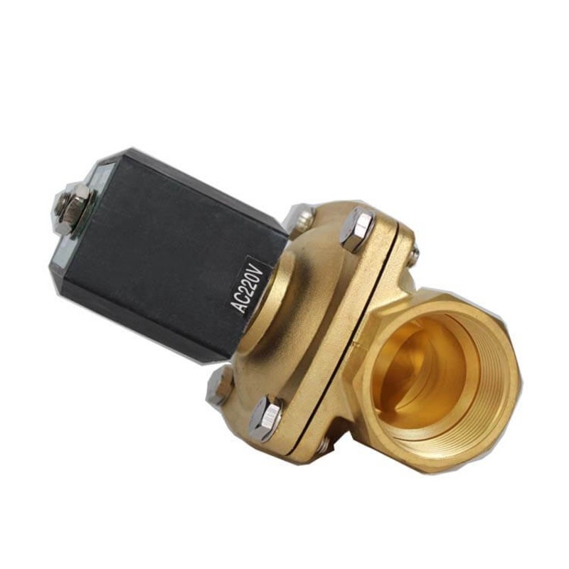 2W21 Su Elektronik Solenoid Valf – Pirin&ccedil;