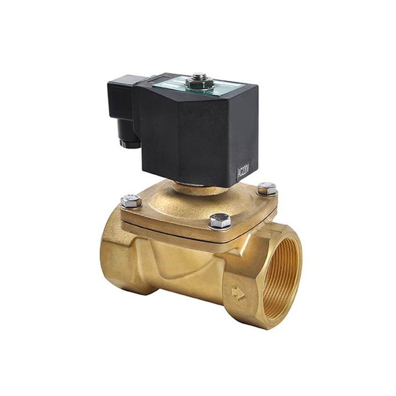 2W21 Su Elektronik Solenoid Valf – Pirin&ccedil;