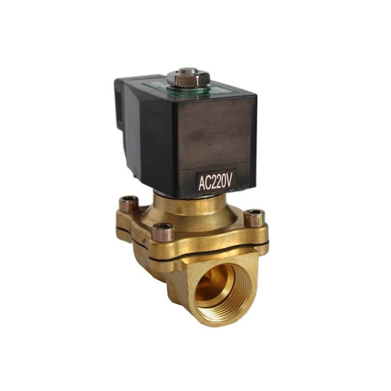 2W21 Su Elektronik Solenoid Valf – Pirin&ccedil;